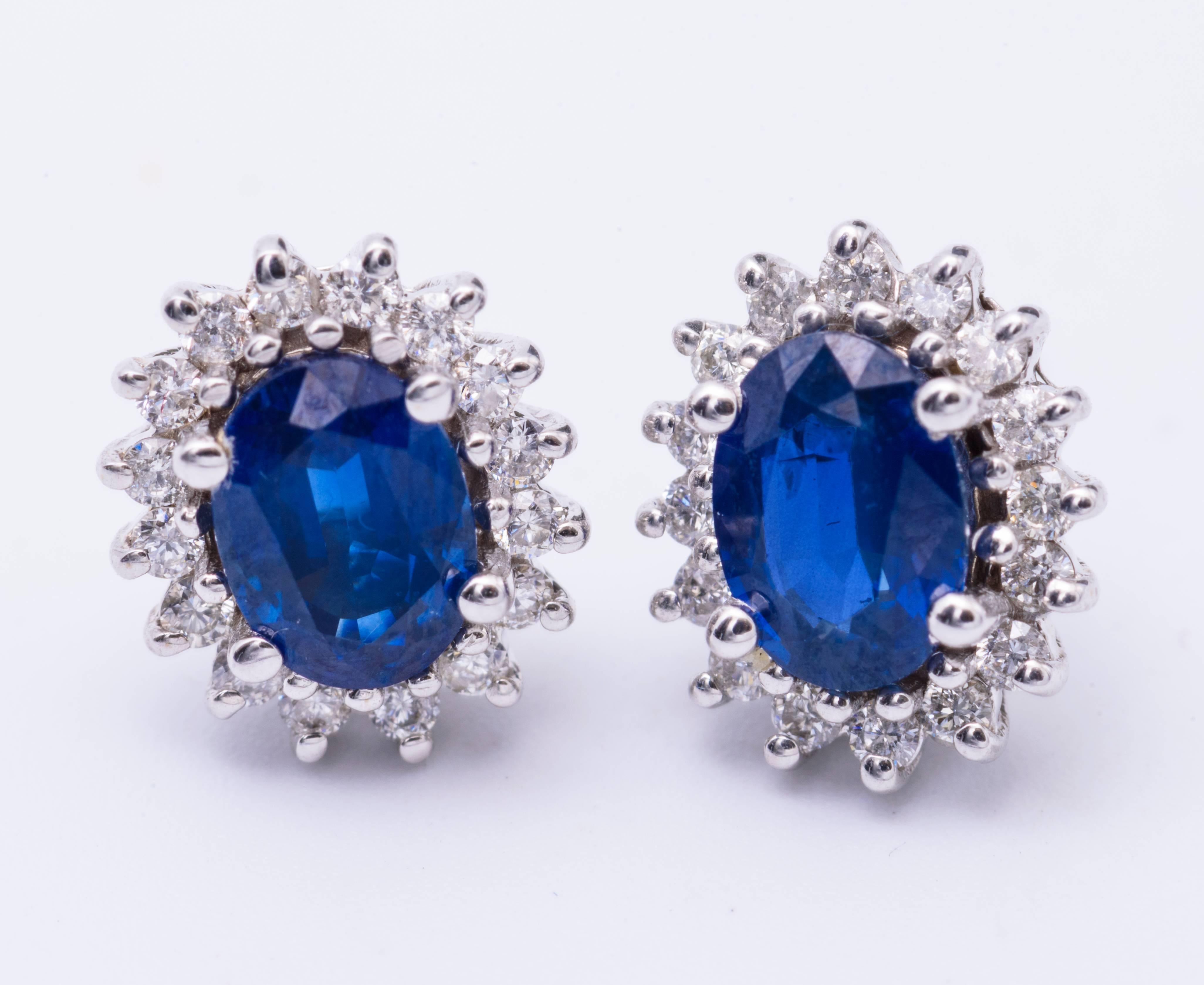 sapphire diamond halo earrings