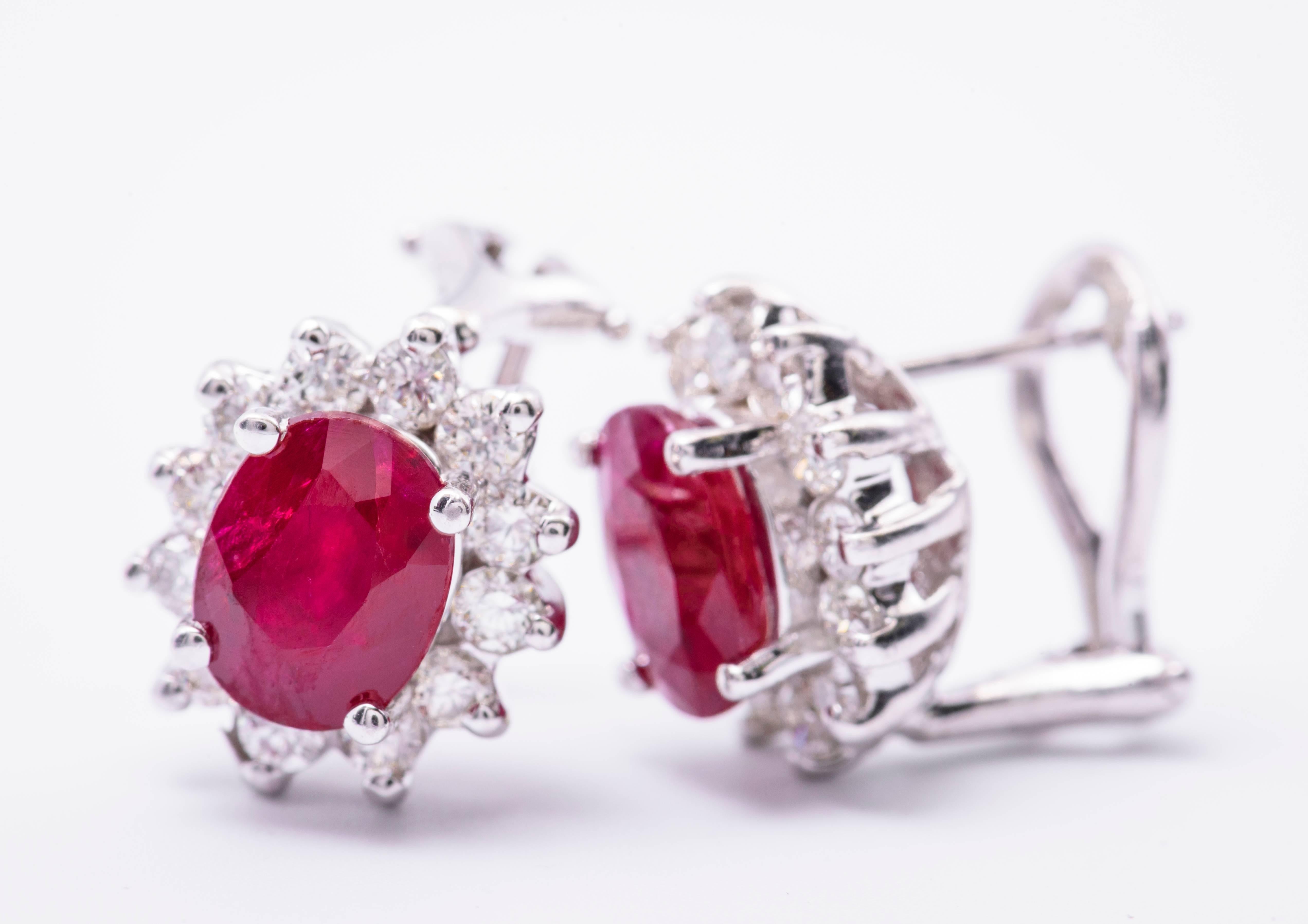 3,20 Karat Ovale Rubine Diamant-Gold-Ohrringe im Zustand „Neu“ in New York, NY