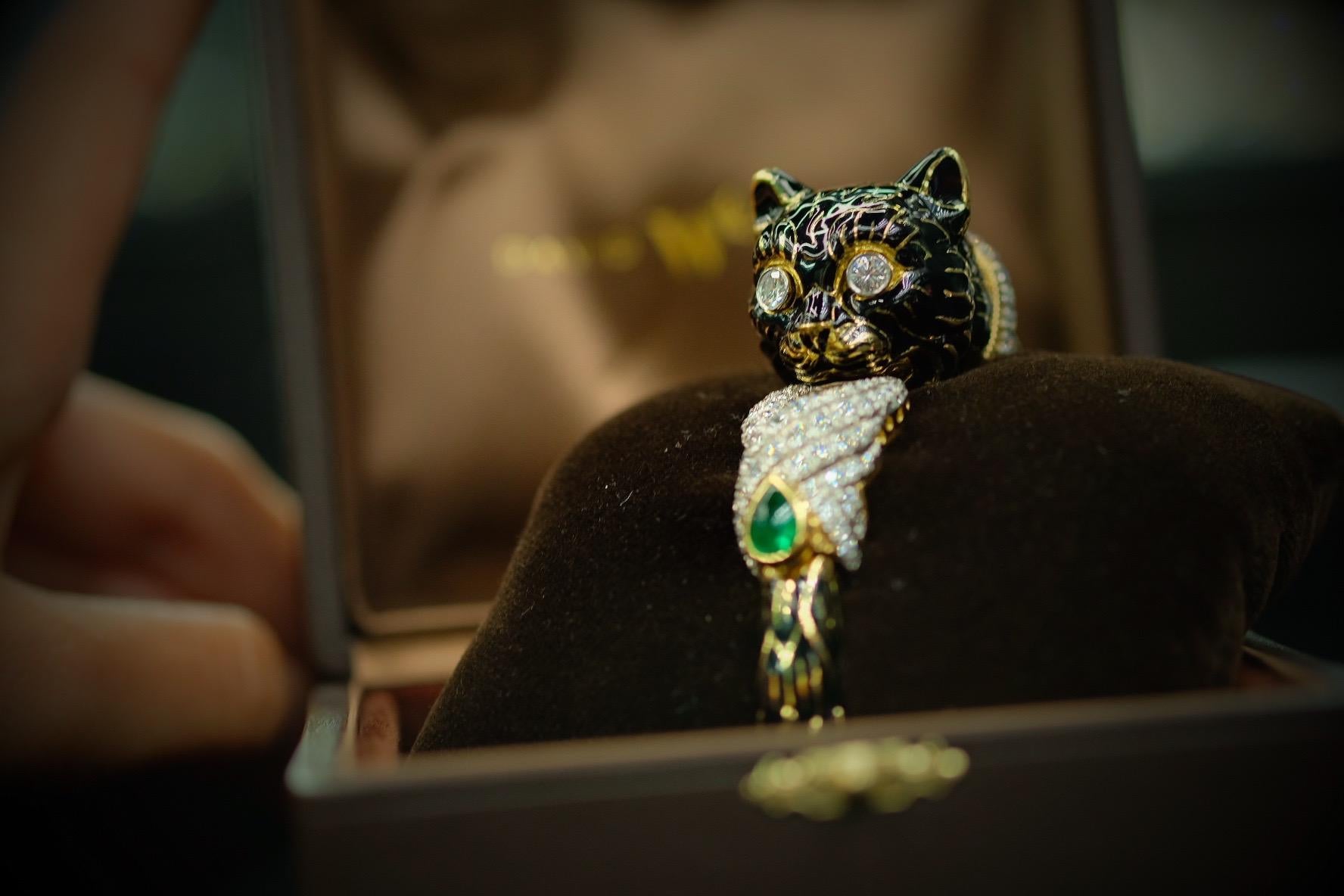 black bangles cat