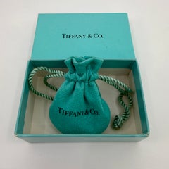 Vintage Tiffany & Co. Elsa Peretti Diamond By The Yard Platinum Pendant Necklace