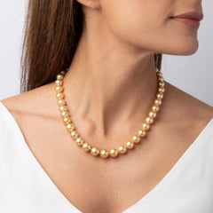 Yoko London Golden South Sea Pearl Classic Necklace on 18 Karat Yellow Gold