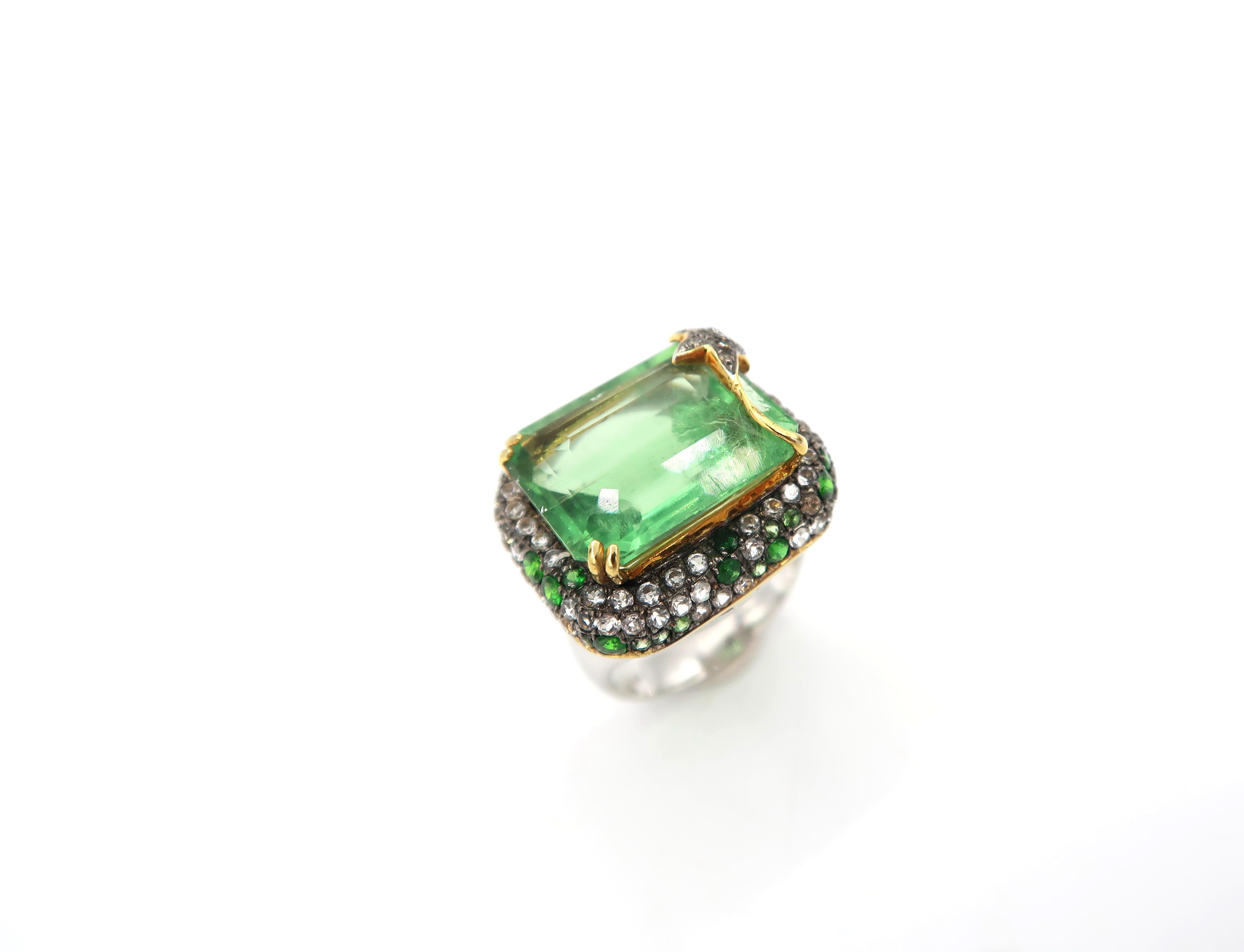 Important 13.58 carat Fluorite ring in 18K white gold and yellow gold setting embellished with Tsavorite and Smoky Topaz.

Please kindly let us know upon checkout should you wish to have the ring resized.

Ring size: 54 1/2
Fluorite :