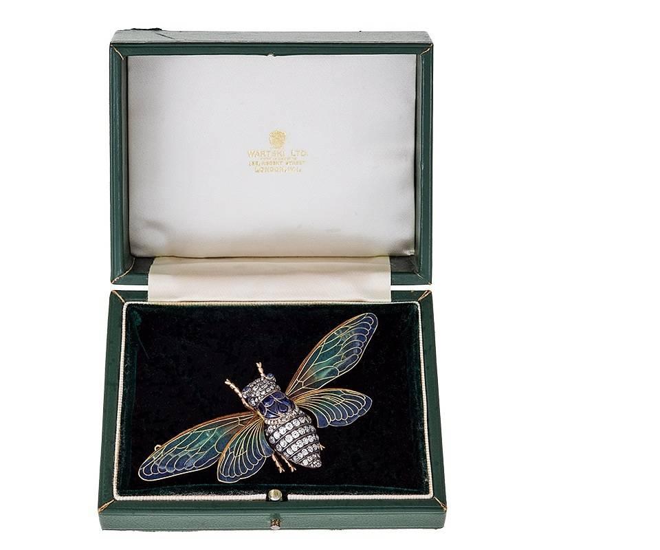 Art nouveau Broche Cicada Art Nouveau de Boucheron en diamant:: saphir et émail Plique-à-Jour