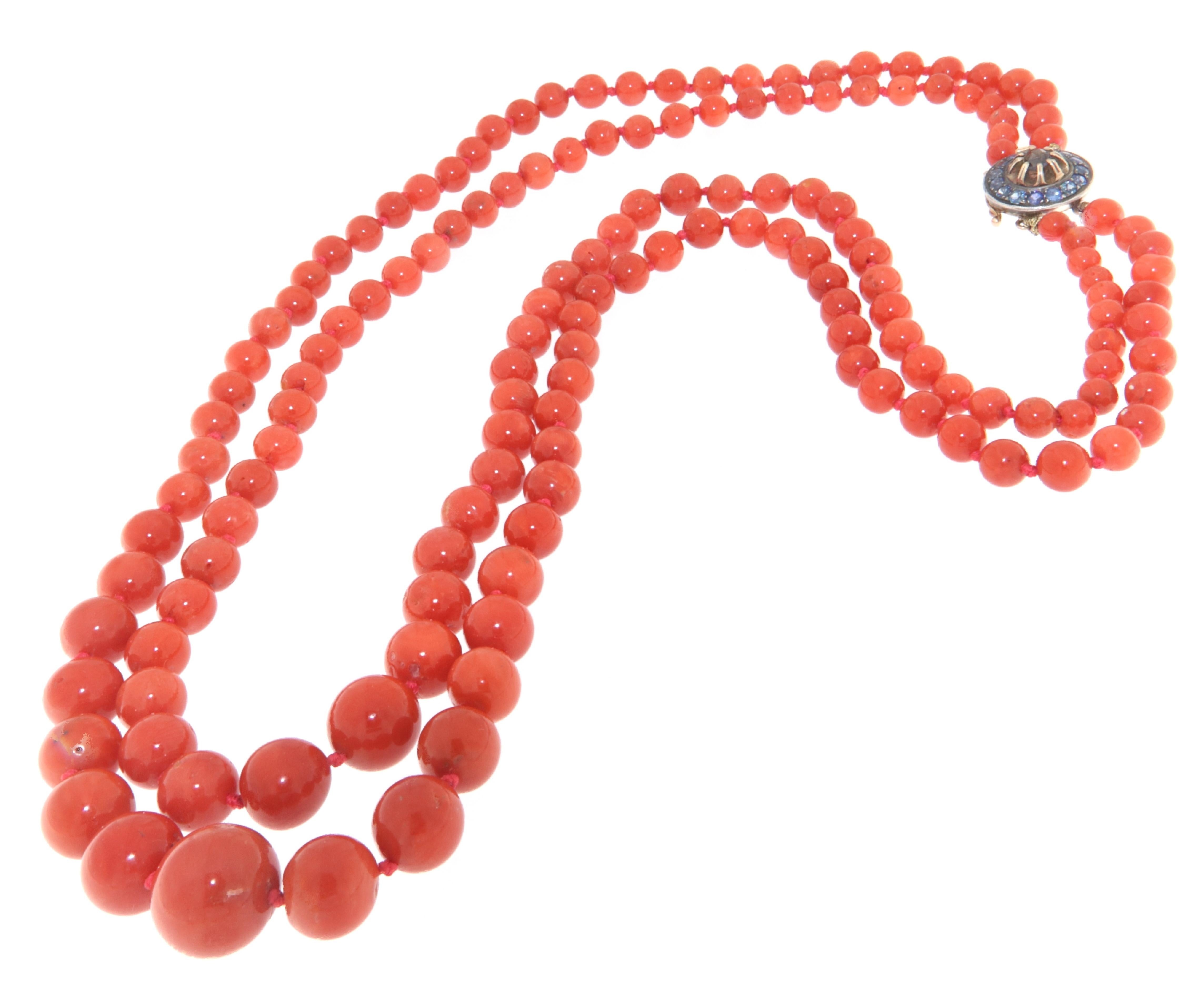 For any problems related to some materials contained in the items that do not allow shipping and require specific documents that require a particular period, please contact the seller with a private message to solve the problem.

Sardinia Coral