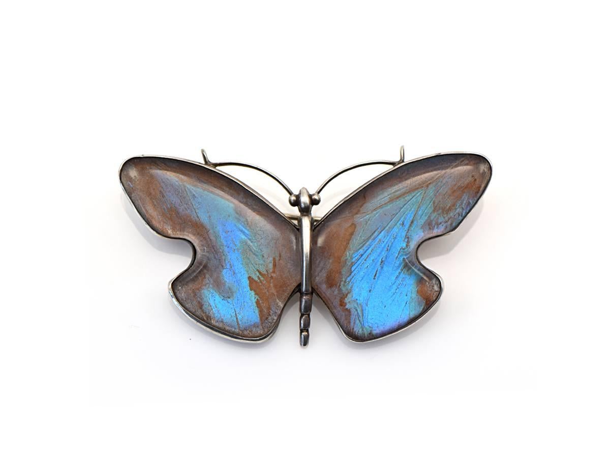 A pressed fairytale right before our eyes! This sterling silver butterfly brooch encases actual iridescent butterfly wings. Magical!

*sterling silver