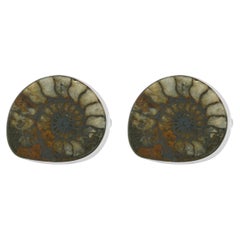 Jim Doyle Sterling Silver Ammonite Cufflinks