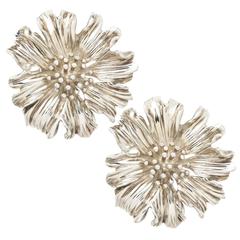 Tiffany & Co. Large Alpine Rose Silver Earrings