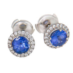 Tiffany Soleste Platinum & Tanzanite Earrings