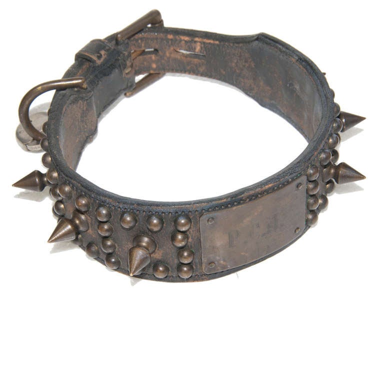 A Circa 1910 Brass studded Leather Dog Collar, central plaque with the initials: P.C.H. Leather in very good condition for its age, no major wear or signs of it being brittle, no studs missing.