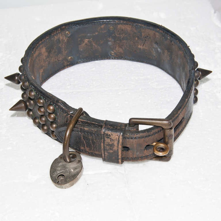 Edwardian Circa 1910 Leather and Brass Dog Collar