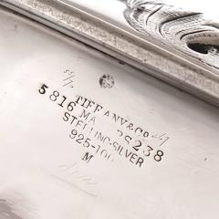 Tiffany & Co. Large Aesthetic Period Heavy Repousse Silver Pitcher