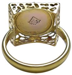 Enamel Gold Indian Head Ring