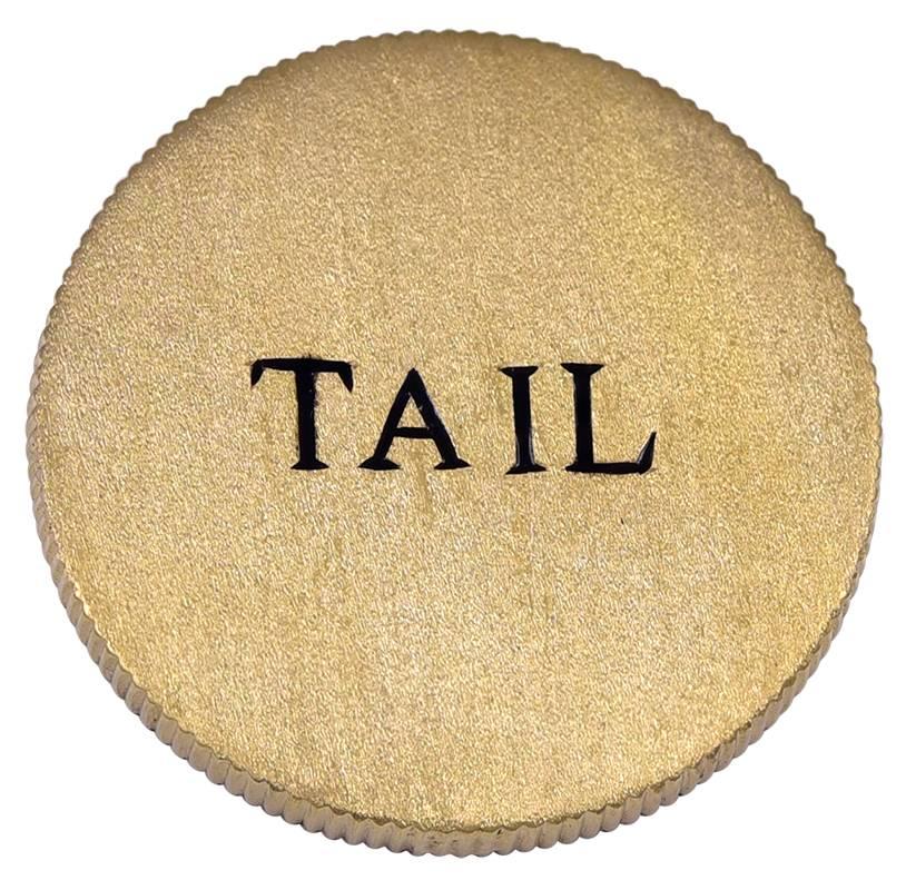 Enamel Gold Head or Tail Coin at 1stDibs head and tail of a coin