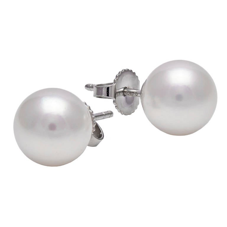 TIFFANY& CO SIGNATURE earrings, Akoya  pearls in 18k white gold.
9-9 1/2mm. 
Beautiful warm soft rose luster of the finest quality. Tiffany sells these now for $3000.
 Very clean and chic. The perfect earrings for any occasion in life.