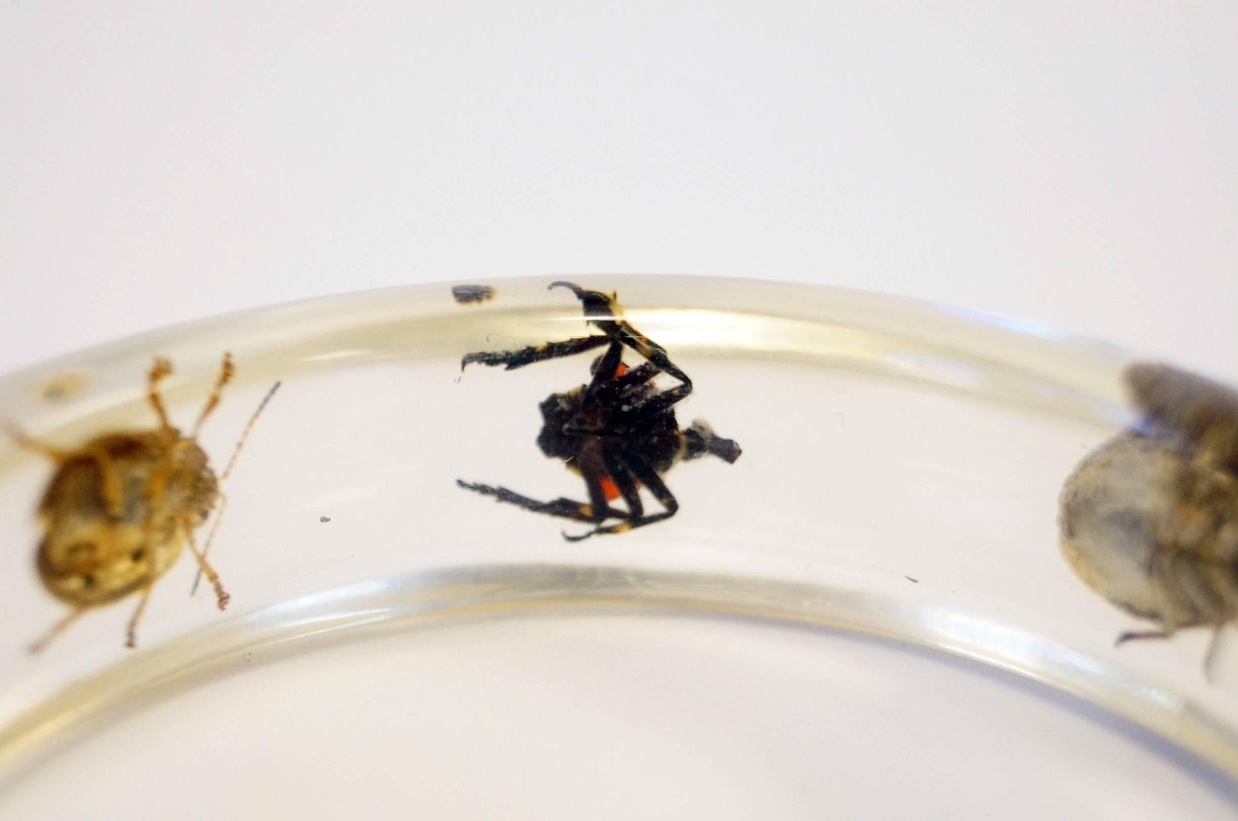 Vintage Lucite Bangle Bracelet with Real Beetles and Scorpion 1