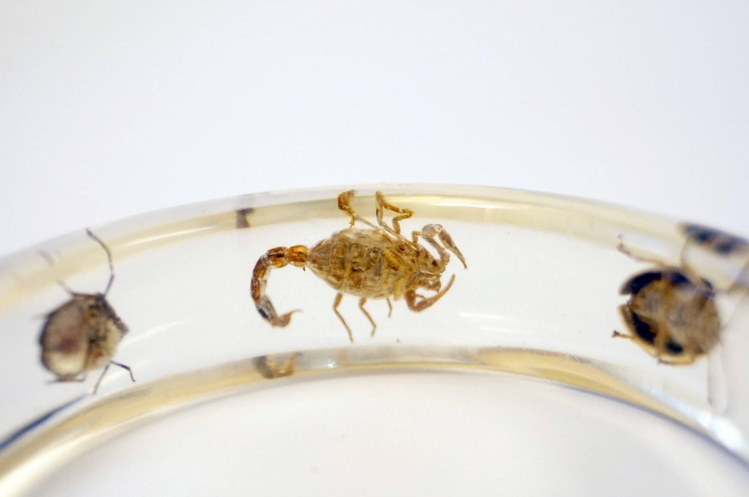 Vintage Lucite Bangle Bracelet with Real Beetles and Scorpion 2