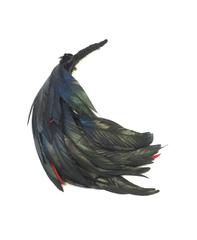 Vintage Yves Saint Laurent Iridescent Coque Tail Brooch / Hat or Scarf Pin