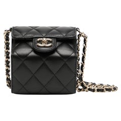 Chanel Rare sac à rabat accordéon mini en cuir matelassé