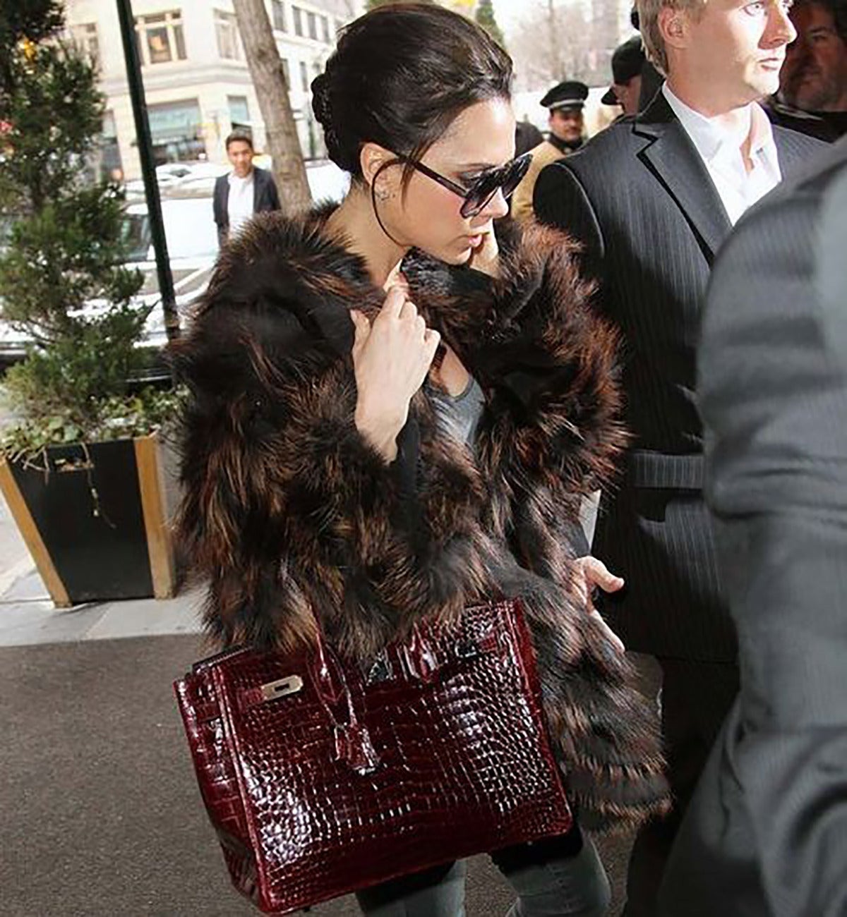 furry birkin