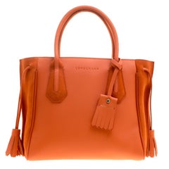 Used Longchamp Bag - 11 For Sale on 1stDibs