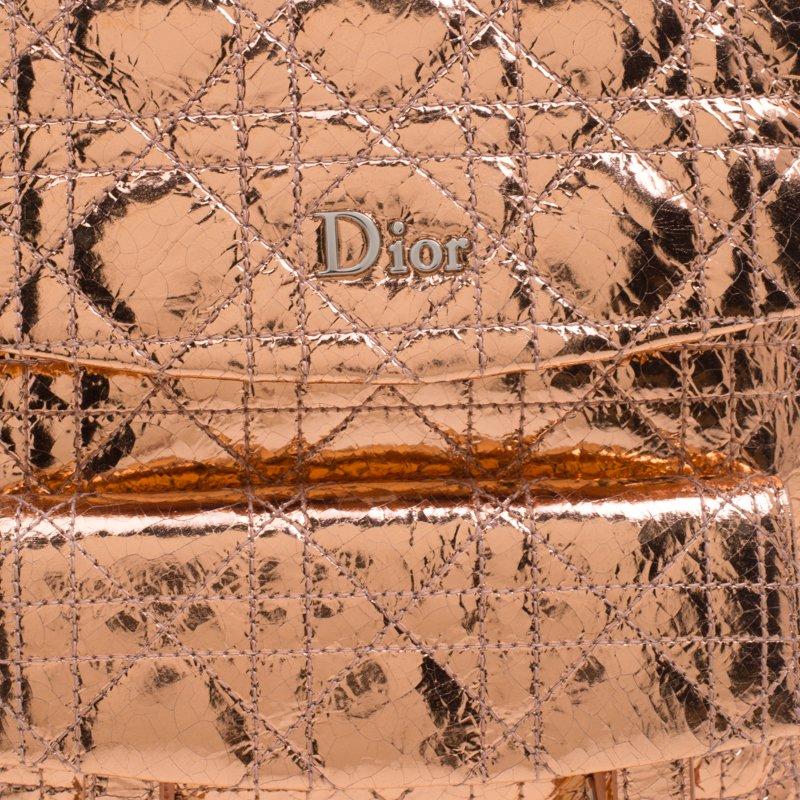 Dior Metallic Bronze Ceramic Effect Leather Stardust Backpack 1