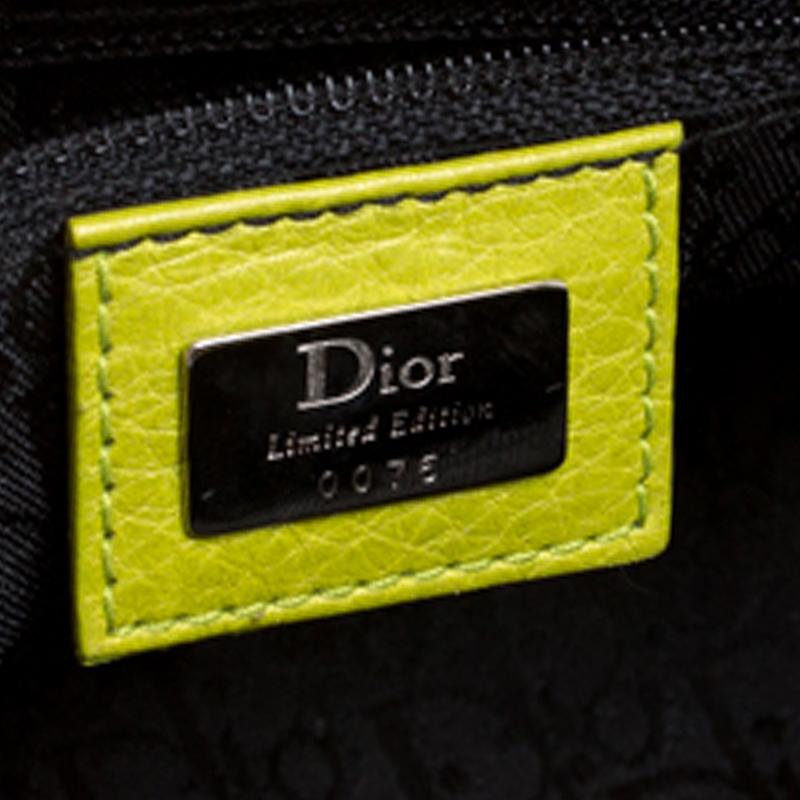 dior butterfly detective bag