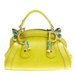 Dior Saddle Vintage Bag Limited Edition Butterfly at 1stDibs