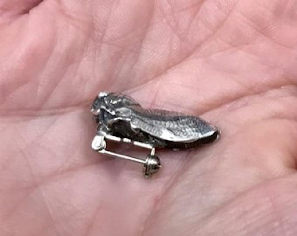 Antique Art Nouveau Sterling Silver Cicada Insect Pin Christmas Gift Ideas In Good Condition For Sale In Champions State Gate, FL