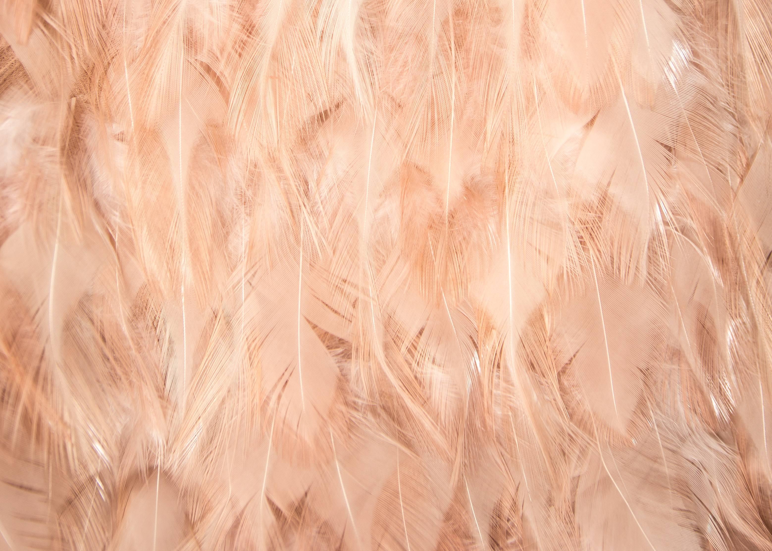 Women's Tom For for Gucci Spring-Summer 2003 pale pink feather mini dress
