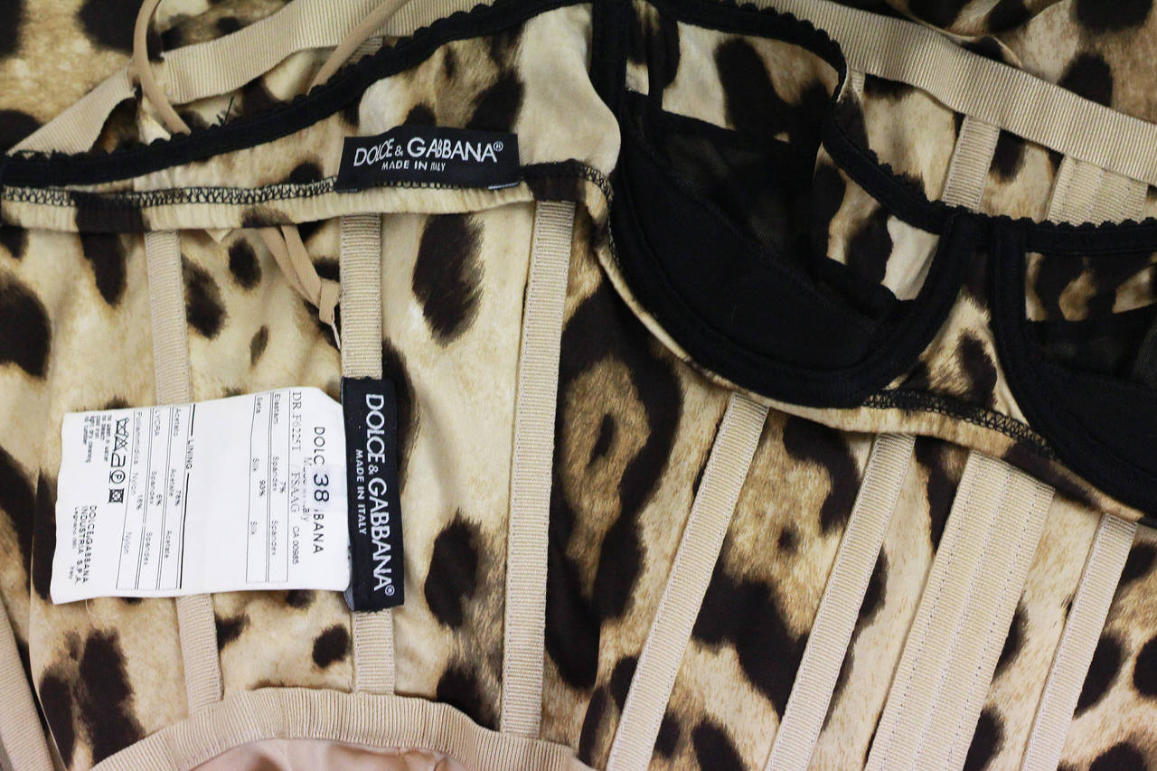 Dolce & Gabbana Corseted Silk Leopard Print Evening Dress 1