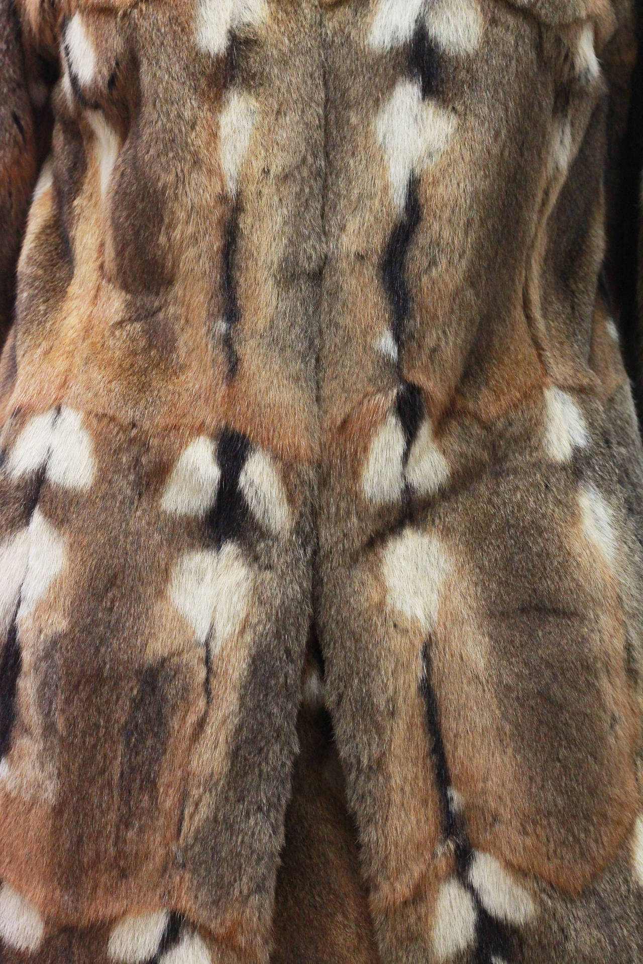 hamster coat