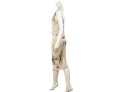 Beige & Grey Alexander McQueen Printed Dress