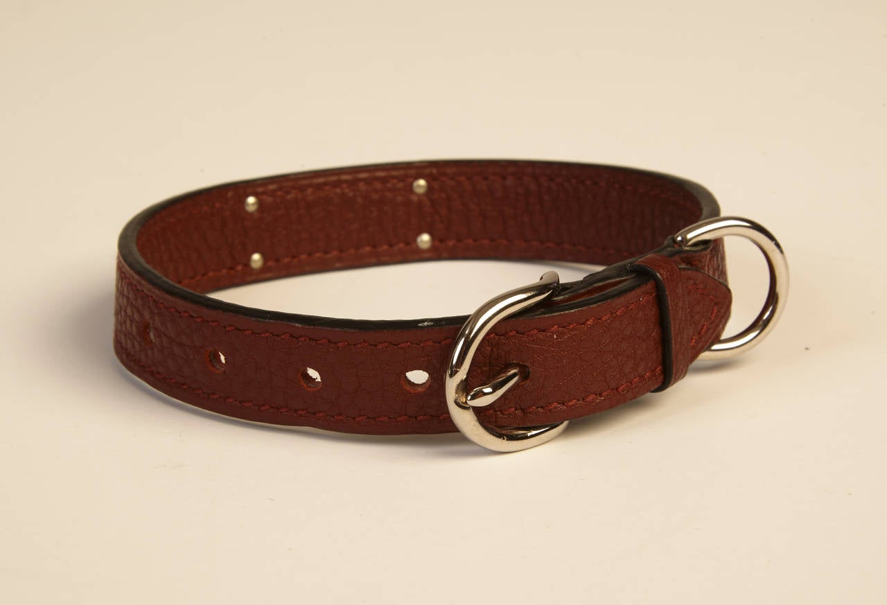 This deluxe dog collar will ensure that your pooch is prancing around in style. Its fastened belt buckle guarantees absolute security, and its leather consistency will allow your dog to both feel comfortable and look incredibly fashionable.  Collar