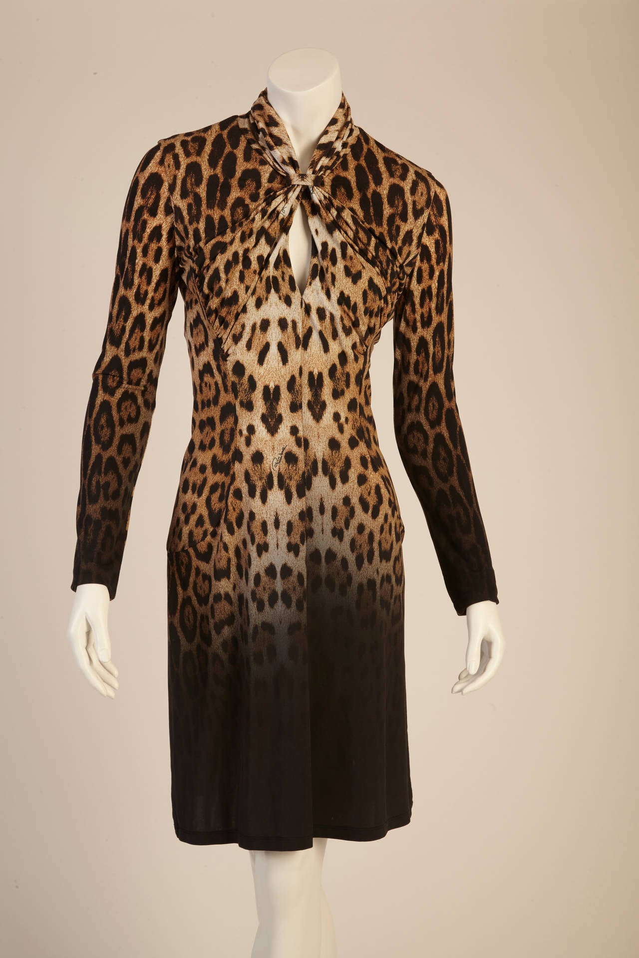 Roberto Cavalli Leopard Print Dress
