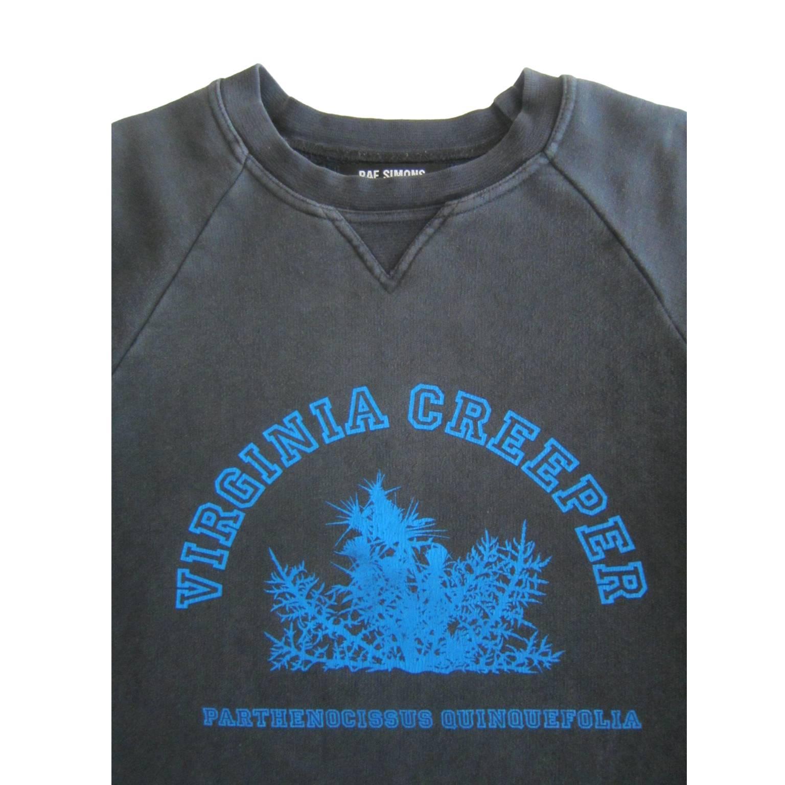 virginia creeper raf simons