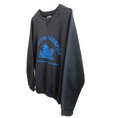 Raf Simons Grey Sweatshirt Virginia Creeper Collection AW 2002