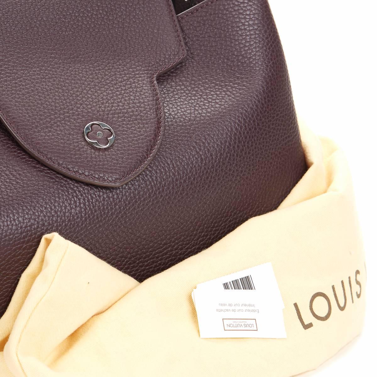 2013 Louis Vuitton Quetsche Taurillon Leather Capucines MM 5