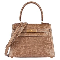 Hermès Poussière Shiny Mississippiensis Alligator Vintage Kelly 20cm Sellier