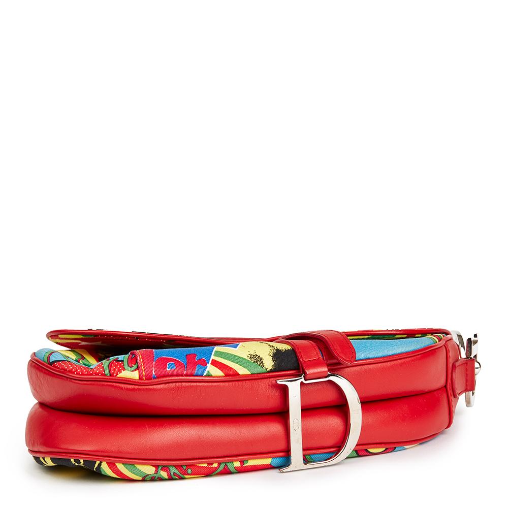 dior saddle bag rasta