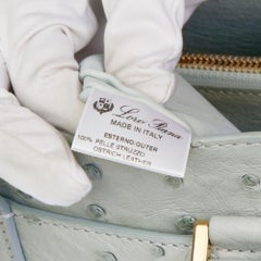 2010 Loro Piana Sage Ostrich Leather Bellevue Media