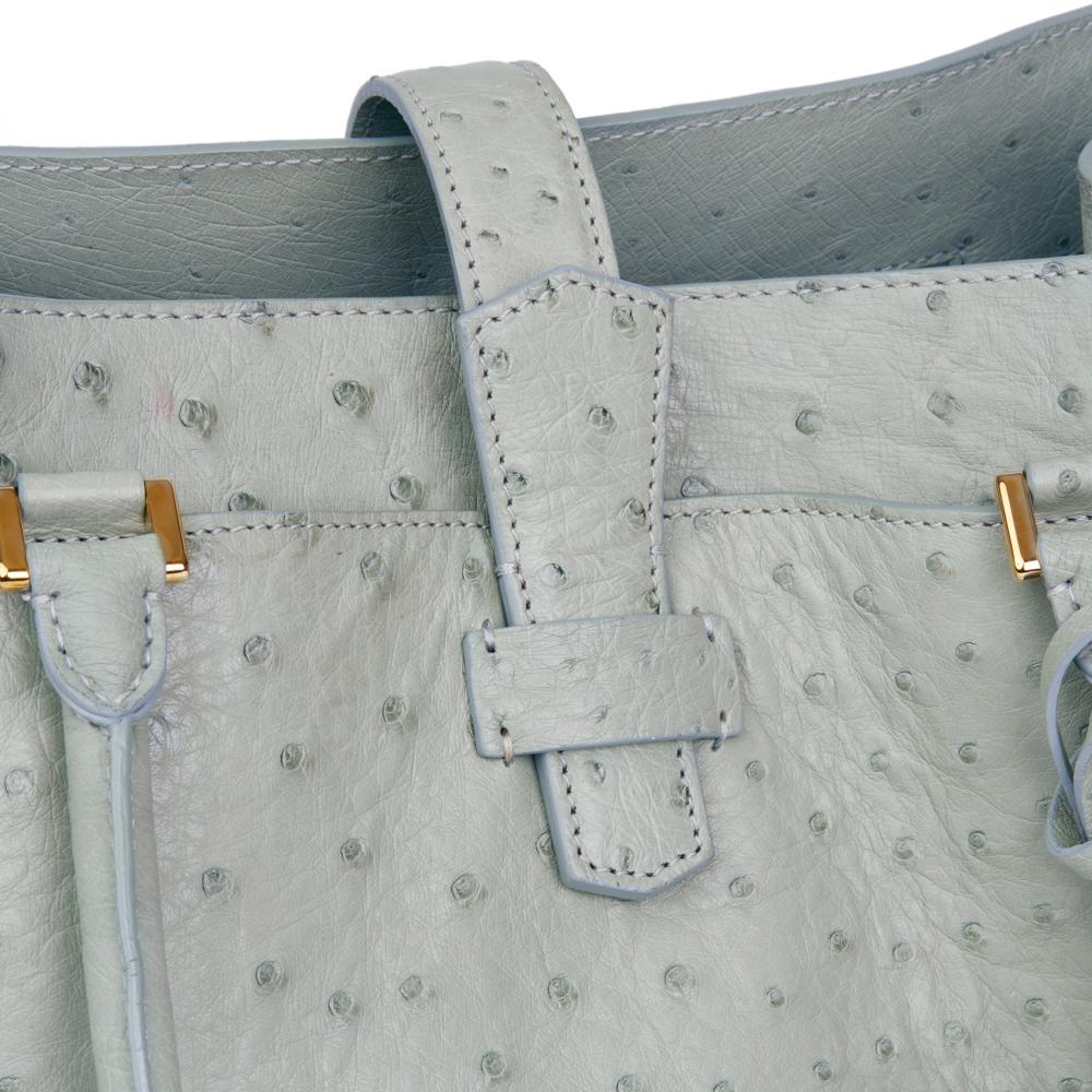 2010 Loro Piana Sage Ostrich Leather Bellevue Media 4