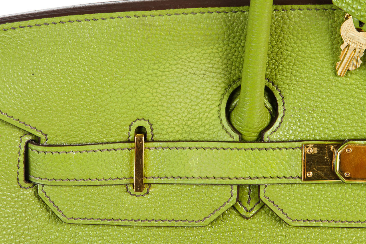 Hermes Vert Anis (Green) Togo Leather Birkin 35cm Handbag GHW 4