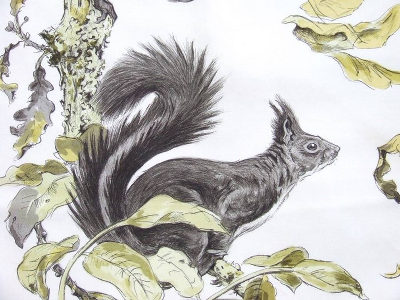 Authentic Hermes Silk Scarf Les Ecureuils Squirrels 90 cm 4