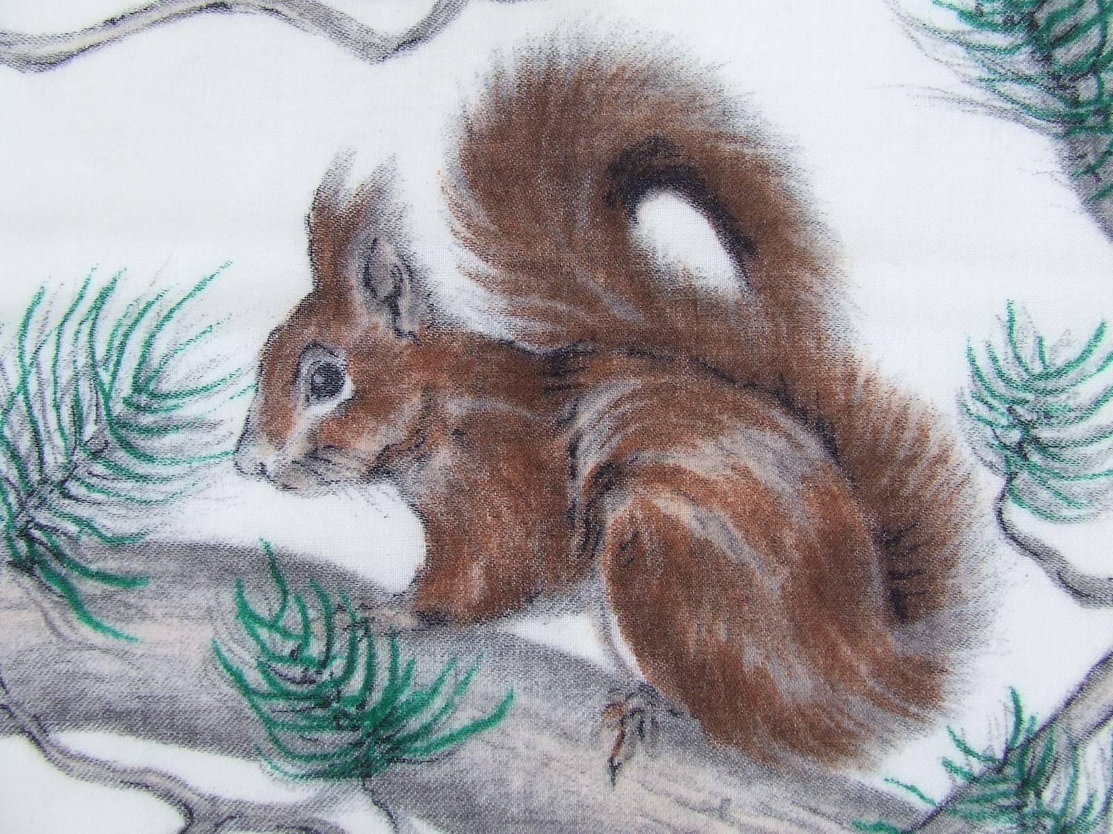 Rare Vintage KREIER Wool Scarf Squirrels Ecureuils Xavier de Poret 2