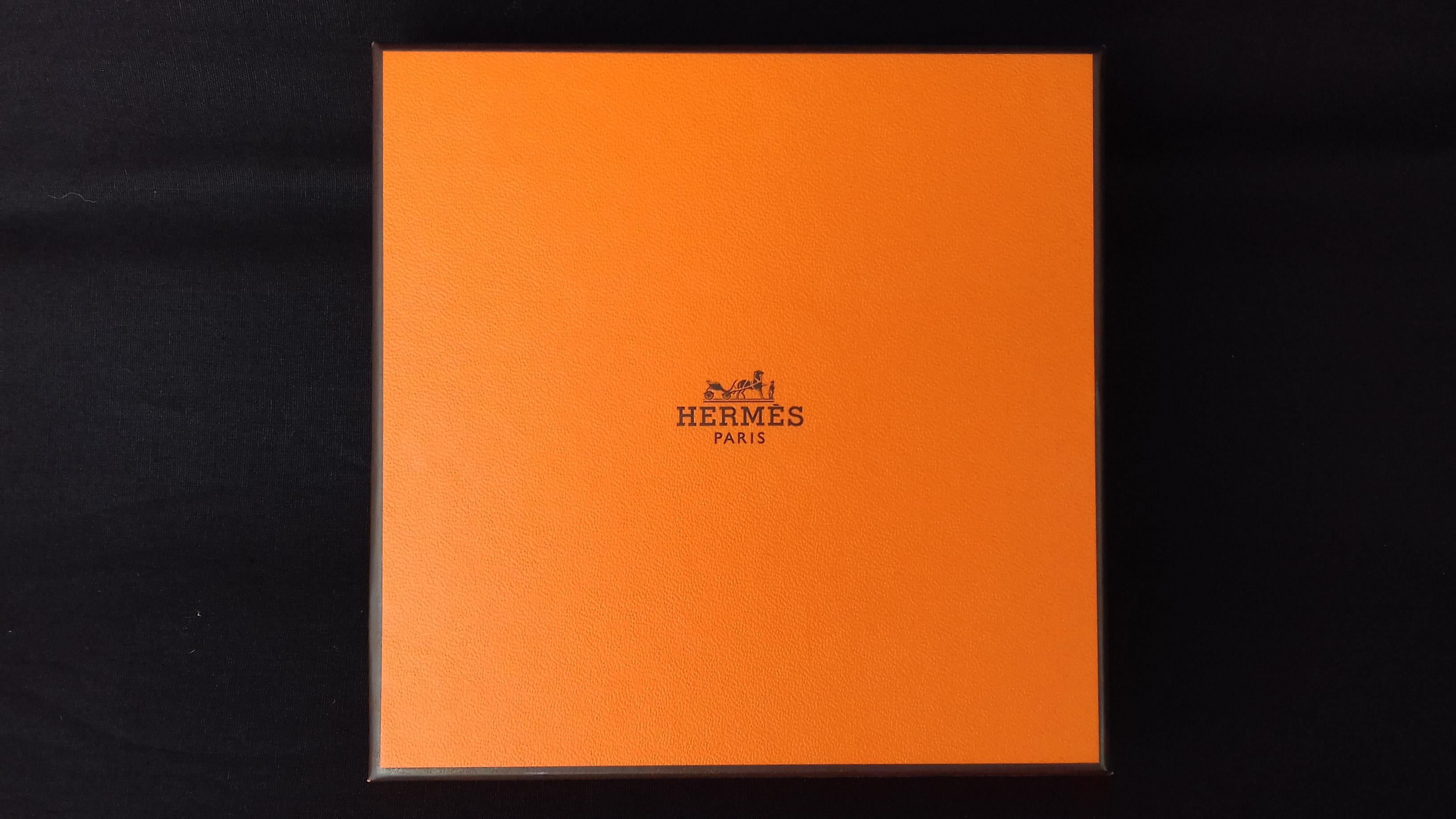 Hermès Pegasus Le Pégase Cheval Ailé Sangles en Zigzag Pattern In Box 8