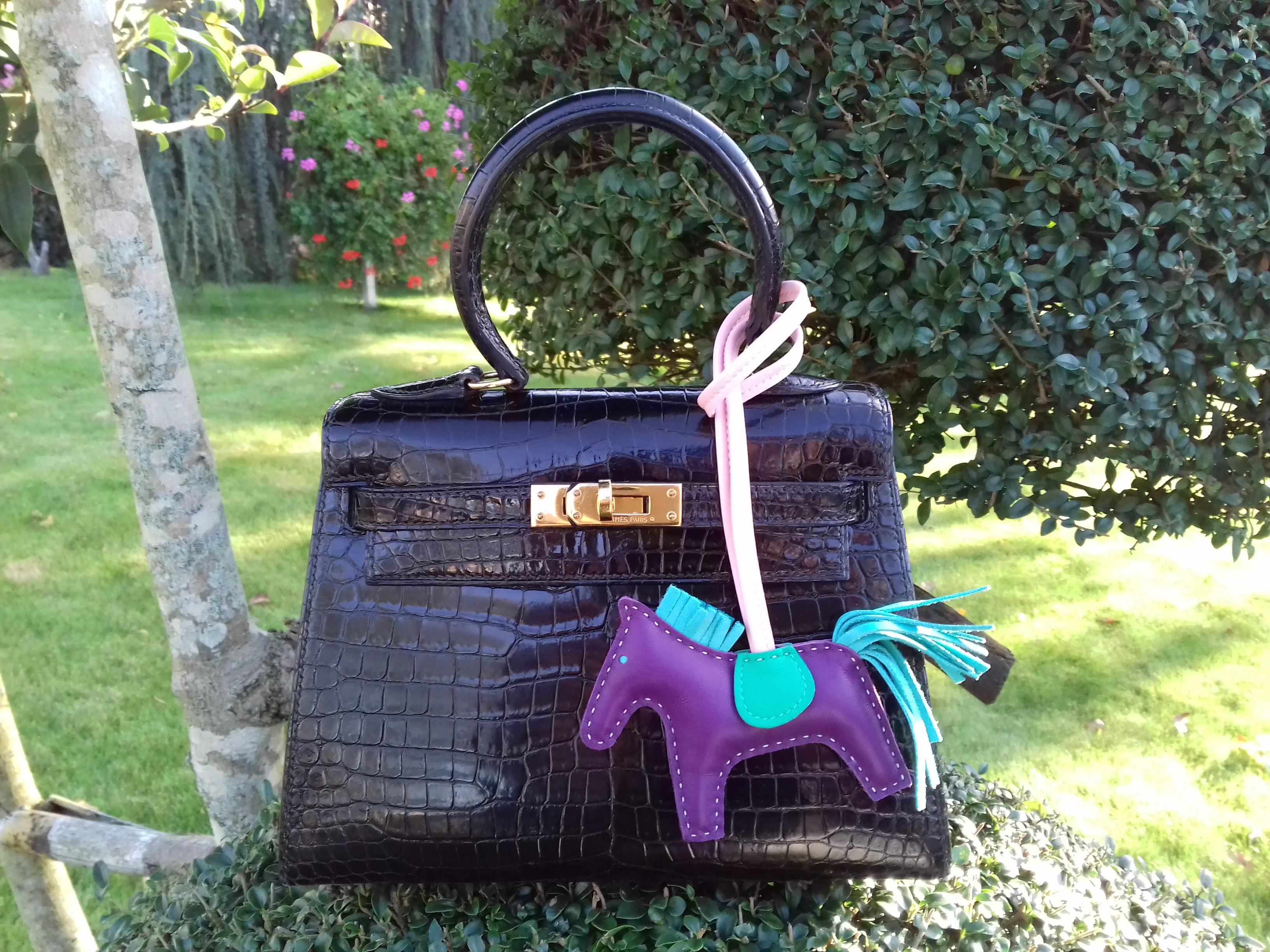Hermès Rodeo Grigri Horse Kelly Birkin Bag Charm 4 colorways Raisin PM RARE 8