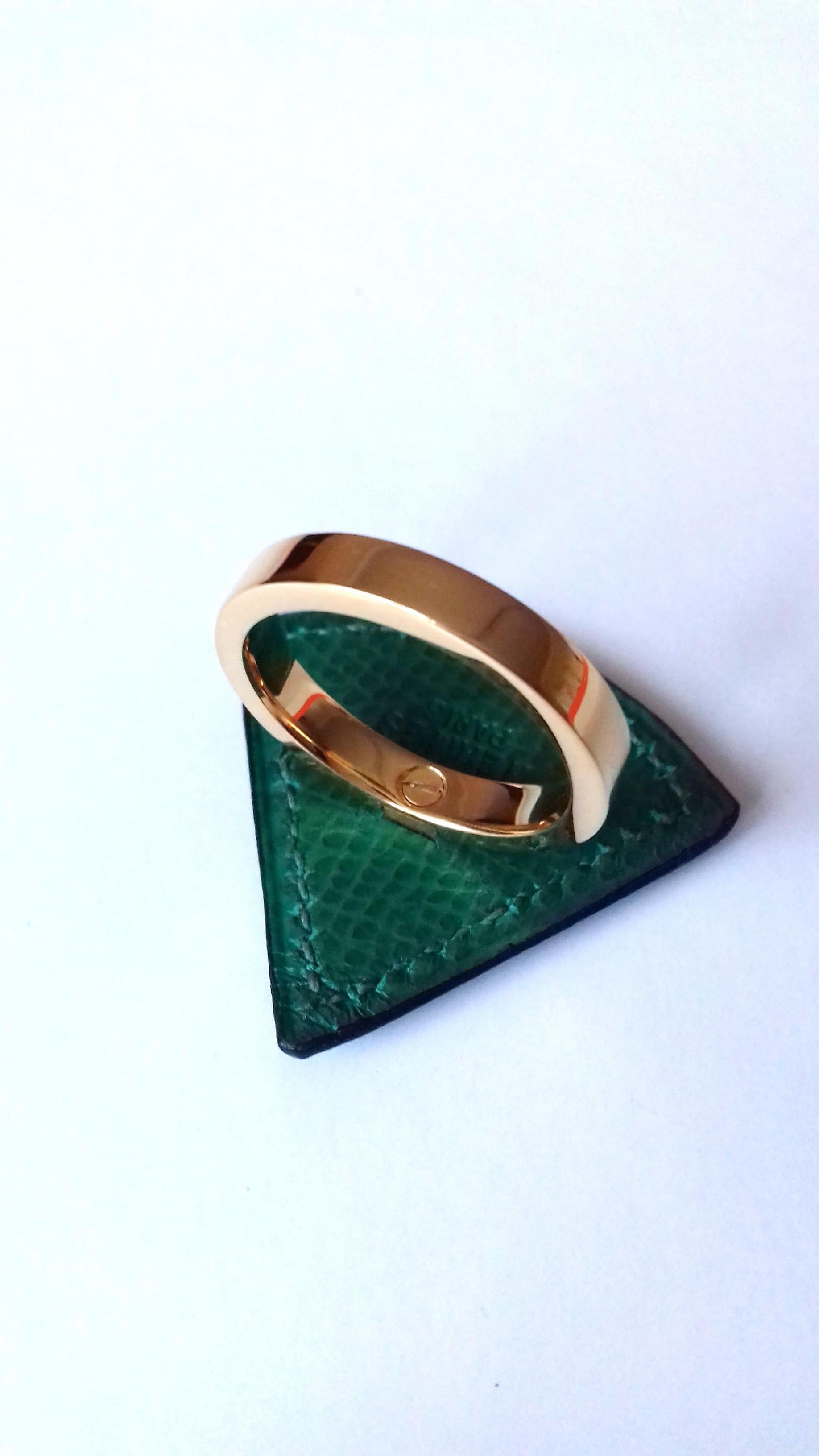 Hermès Ring Scarf of Jewel Ring in Green Courchevel Leather Golden Hdw RARE 6