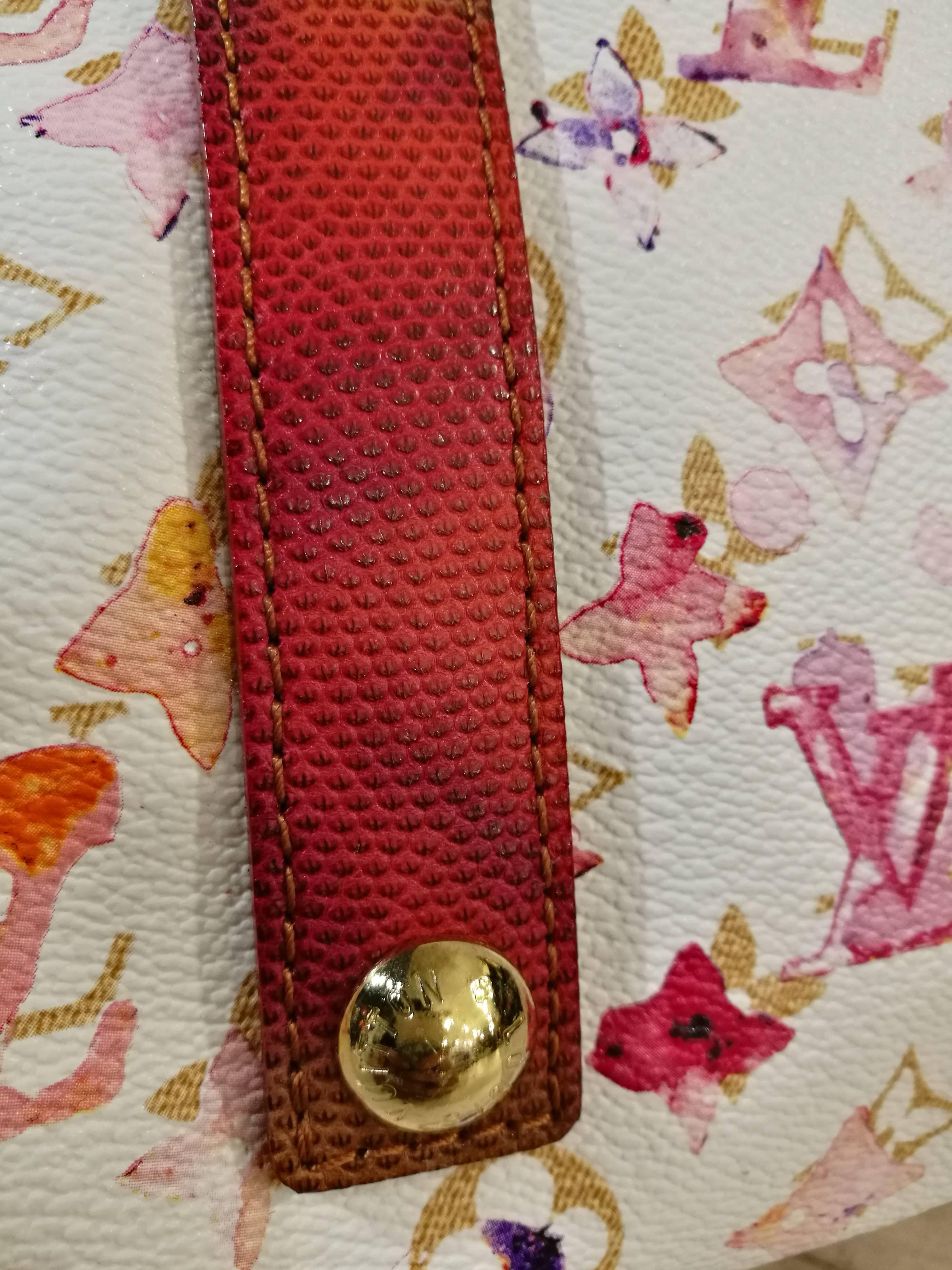 louis vuitton watercolor speedy 30