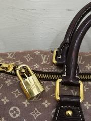 Louis Vuitton Idylle Speedy 30 Bag