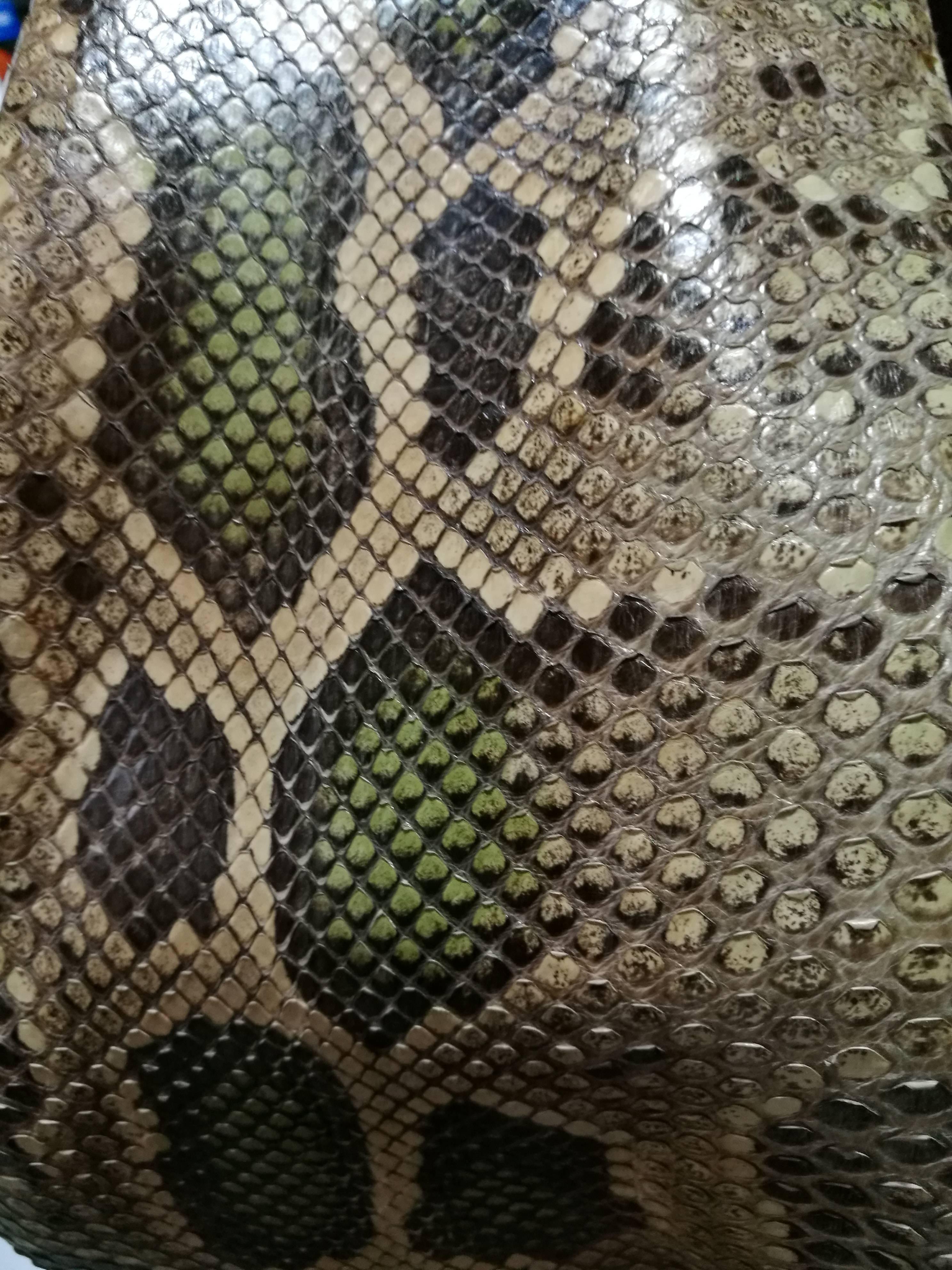 gucci python bag